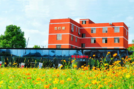 ���Ϟt��Ƽ������W(xu��)У