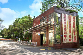 ���Ͻ�ͨ�߼������WУ