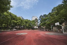 ���Ͻ�ͨ�߼������WУ