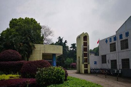 �Lɳ���еȳ��l(xi��ng)���O(sh��)�I(y��)���g(sh��)�W(xu��)У