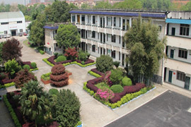 �Lɳ���еȳ��l(xi��ng)���O(sh��)�I(y��)���g(sh��)�W(xu��)У