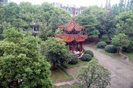 �R�����I(y��)�Ќ�