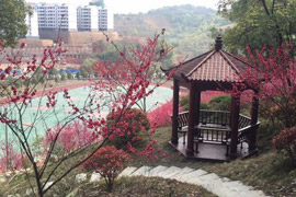 ����н�ͨ�е��I(y��)���g(sh��)�W(xu��)У