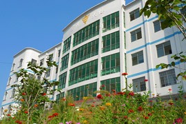 ��ꖿh���I(y��)�I(y��)���g(sh��)�WУ