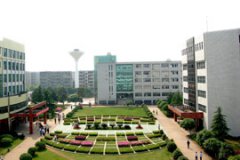 �����н�ͨ�����W(xu��)У