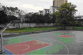 �Lɳ�߼������WУ