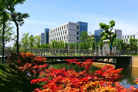 ���¼����WԺ