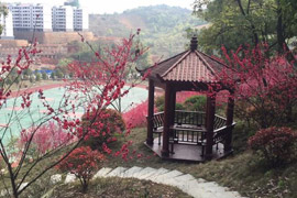 ���(y��ng)�н�ͨ�����W(xu��)У