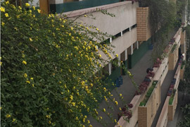 ����м����W(xu��)У