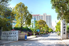 �L(zh��ng)ɳؔ(c��i)��(j��ng)�W(xu��)У