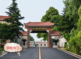 �з��h�I(y��)�еȌ��I(y��)�W(xu��)У